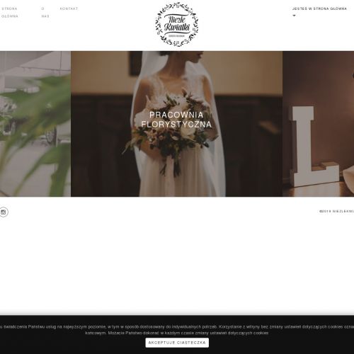 Oświetlenie weselne w Krakowie