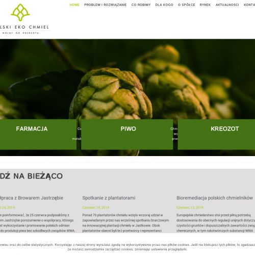 Produkcja piwa z eko chmielu