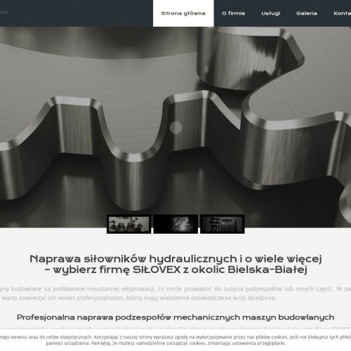 Naprawa siłowników hydraulicznych - Katowice