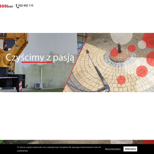 Poznań - czyszczenie dachów