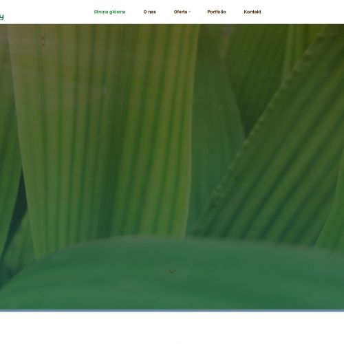 Zakładanie ogrodów w Swarzędzu