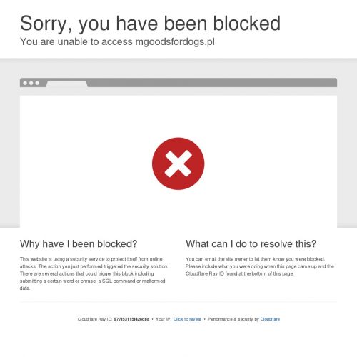 Hipoalergiczna mokra karma dla psa