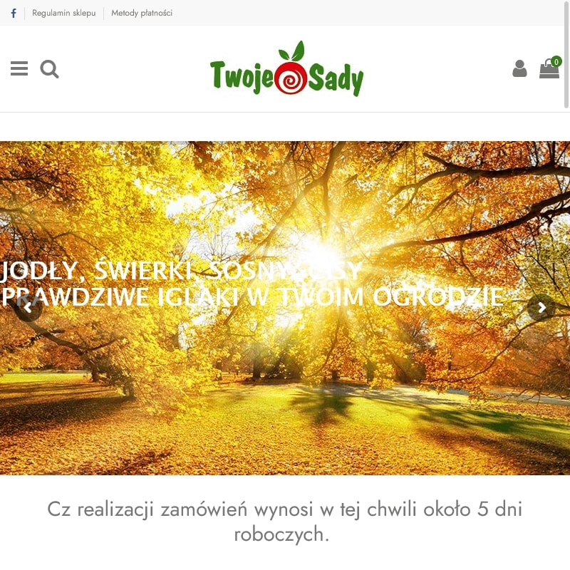 Jabłoń golden delicious