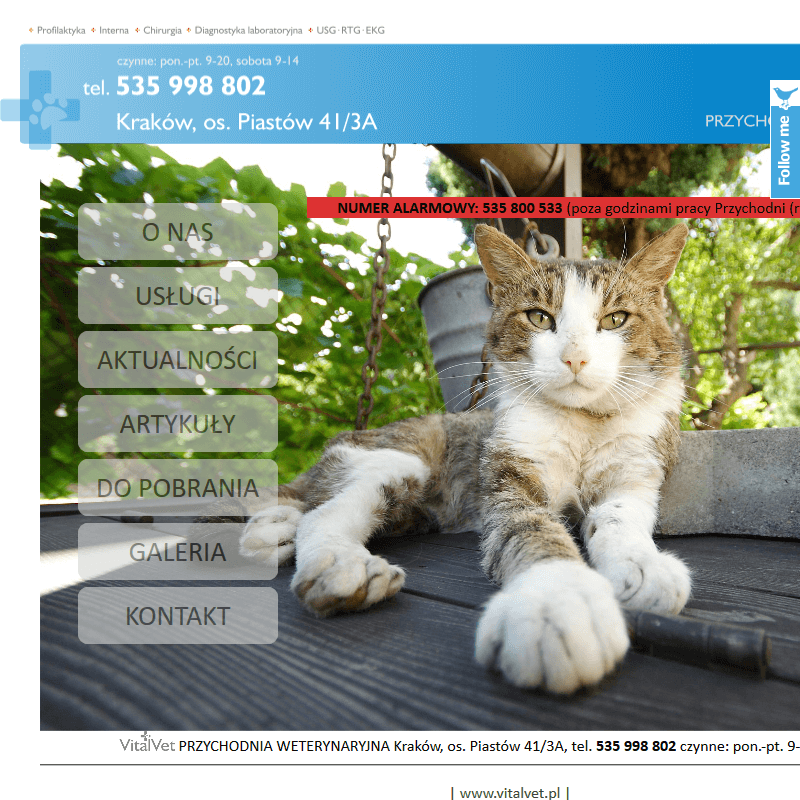 Gabinet weterynarii - Skawina